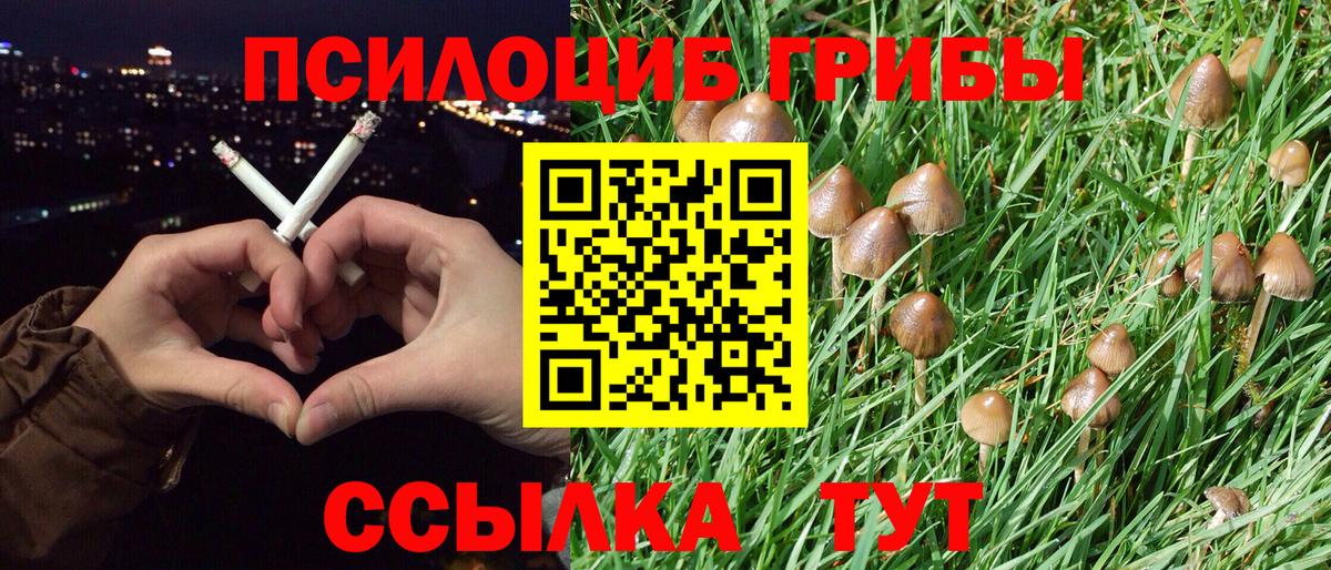 Видное  Галлюциногенные грибы мицелий  Вход с VPN 